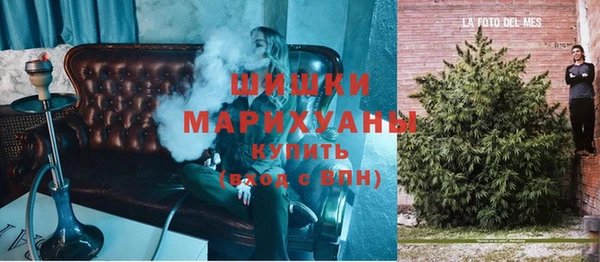 дживик Абаза