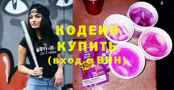 дживик Абаза