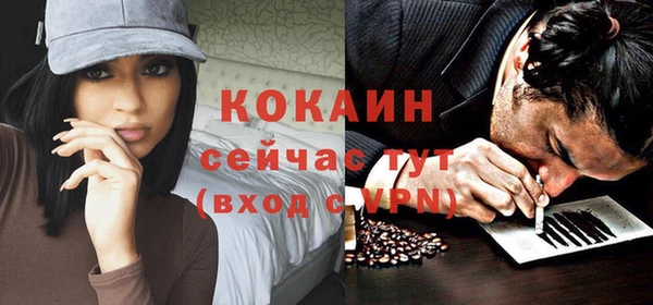 прущие грибы Абинск