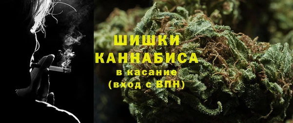 дживик Абаза