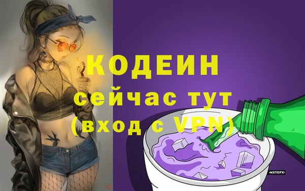 дживик Абаза
