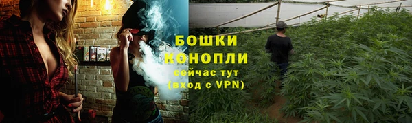 прущие грибы Абинск