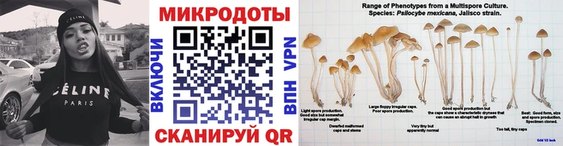 ОМГ ОМГ ТОР Галич Псилоцибиновые грибы мухоморы наркота