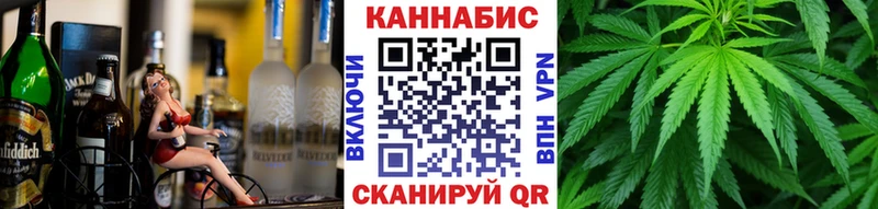 Бошки Шишки VHQ  Галич 